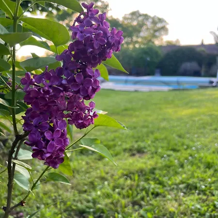 La Colline De Tilleul - De La Colline 4 Star Rated - Beautiful Near Aubeterre Ferienhaus *