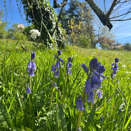 La Colline De Tilleul - De La Colline 4 Star Rated - Beautiful Near Aubeterre Ferienhaus