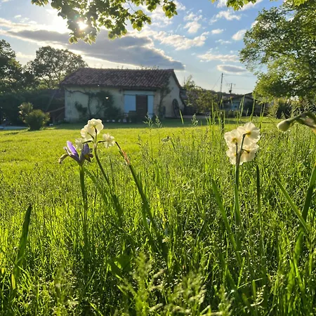 La Colline De Tilleul - De La Colline 4 Star Rated - Beautiful Near Aubeterre *