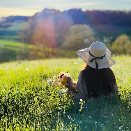 La Colline De Tilleul - De La Colline 4 Star Rated - Beautiful Near Aubeterre Saint-Romain (Charente)