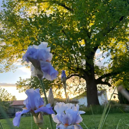 La Colline De Tilleul - De La Colline 4 Star Rated - Beautiful Near Aubeterre Ferienhaus Saint-Romain (Charente)