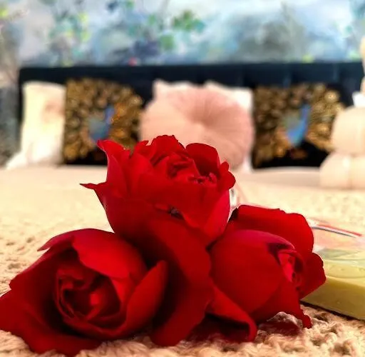 La Colline De Tilleul - De La Colline 4 Star Rated - Beautiful Near Aubeterre