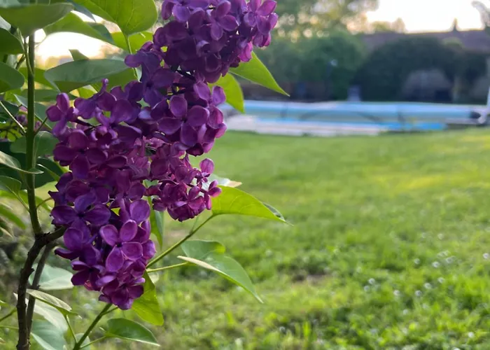 La Colline De Tilleul - De La Colline 4 Star Rated - Beautiful Near Aubeterre Сasa de vacaciones *