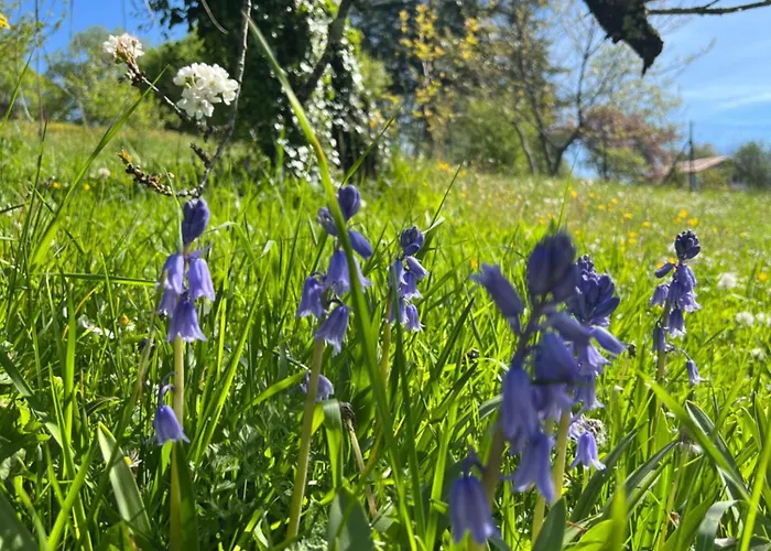 La Colline De Tilleul - De La Colline 4 Star Rated - Beautiful Near Aubeterre Сasa de vacaciones