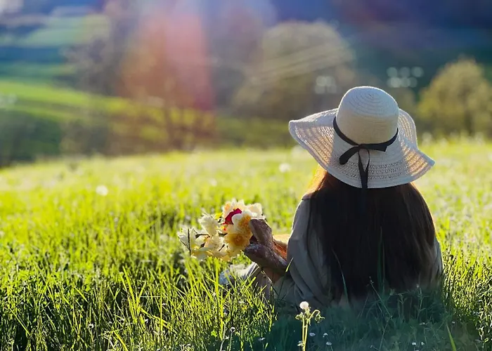 La Colline De Tilleul - De La Colline 4 Star Rated - Beautiful Near Aubeterre Saint-Romain (Charente)