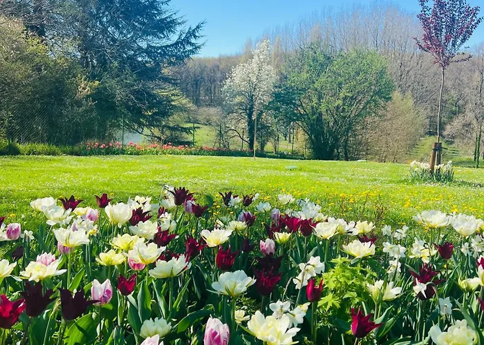 Сasa de vacaciones La Colline De Tilleul - De La Colline 4 Star Rated - Beautiful Near Aubeterre